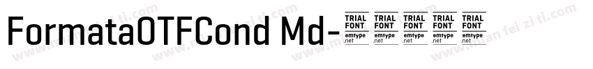 FormataOTFCond Md字体转换
